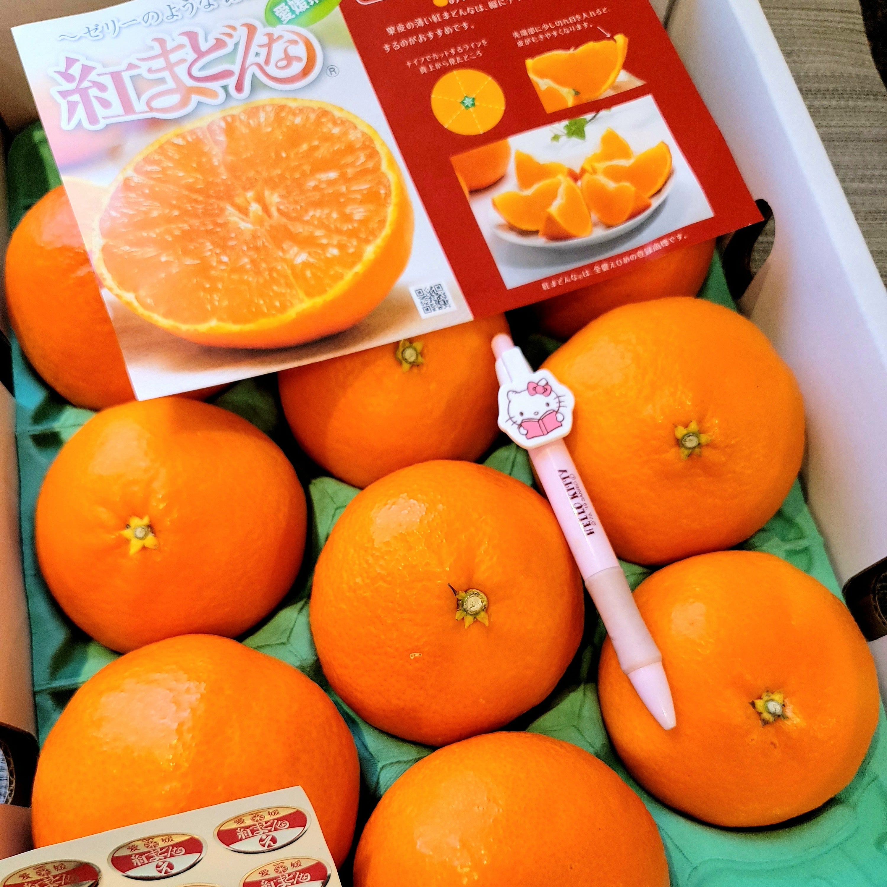 Red Madonna Mikan 愛媛果紅麥當娜